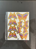 Rainbow Butterfly Set