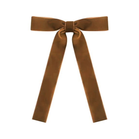 Brown Velvet Bow
