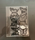 Black Butterfly Set