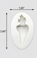 Carrot Mold