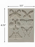 Butterfly 6pc Mold