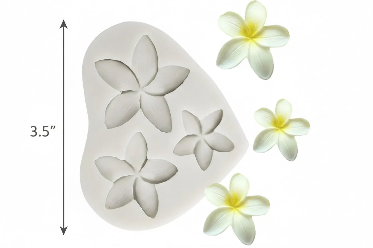 Plumeria Flower