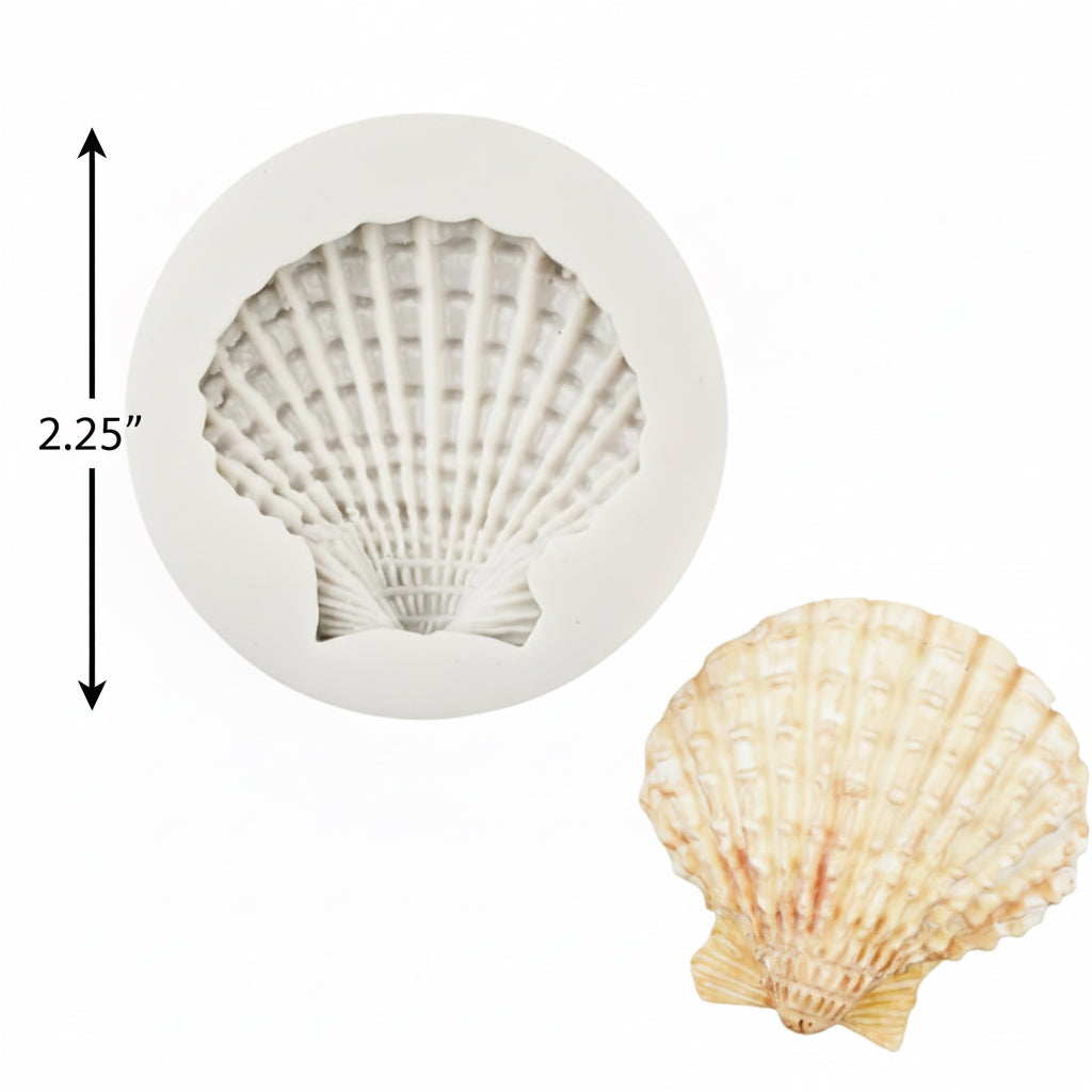 Large Seashell Mold