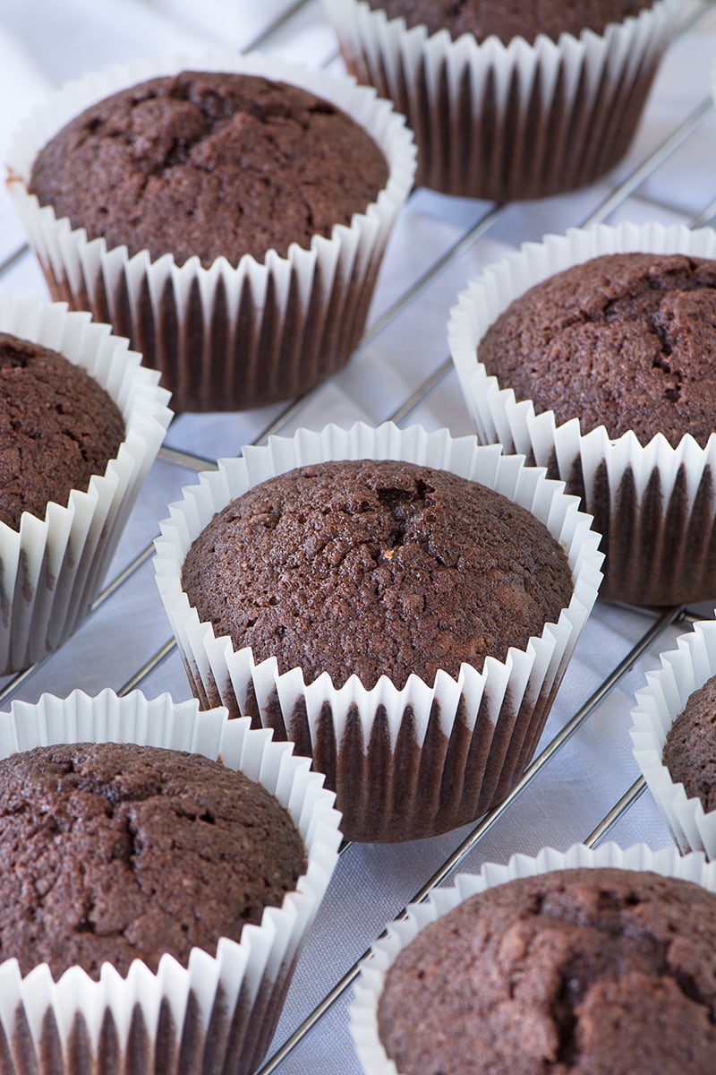 12 Chocolate Dawn Cupcakes