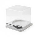 Plastic Single Bento
