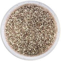 Disco Dust Non-Toxic-Platinum