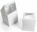 8x8x10 Box-Window