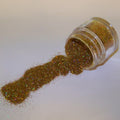 Disco Dust Non-Toxic-Hologram Gold
